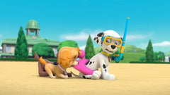 PAW Patrol: Air Patrol [DVD] DVDs & Blu-Rays Elevation Pictures   