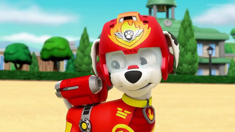 PAW Patrol: Air Patrol [DVD] DVDs & Blu-Rays Elevation Pictures   