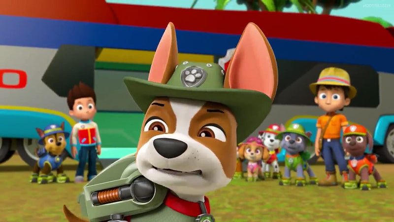 PAW Patrol: Air Patrol [DVD] DVDs & Blu-Rays Elevation Pictures   