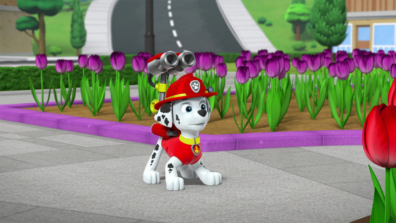 PAW Patrol: Everest - The Snowy Mountain Pup [DVD] DVDs & Blu-Rays Elevation Pictures   