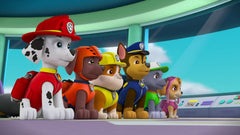 PAW Patrol: Pups Make A Splash [DVD] DVDs & Blu-Rays Elevation Pictures   