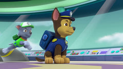 PAW Patrol: Pups Save the Kittens [DVD] DVDs & Blu-Rays Elevation Pictures   