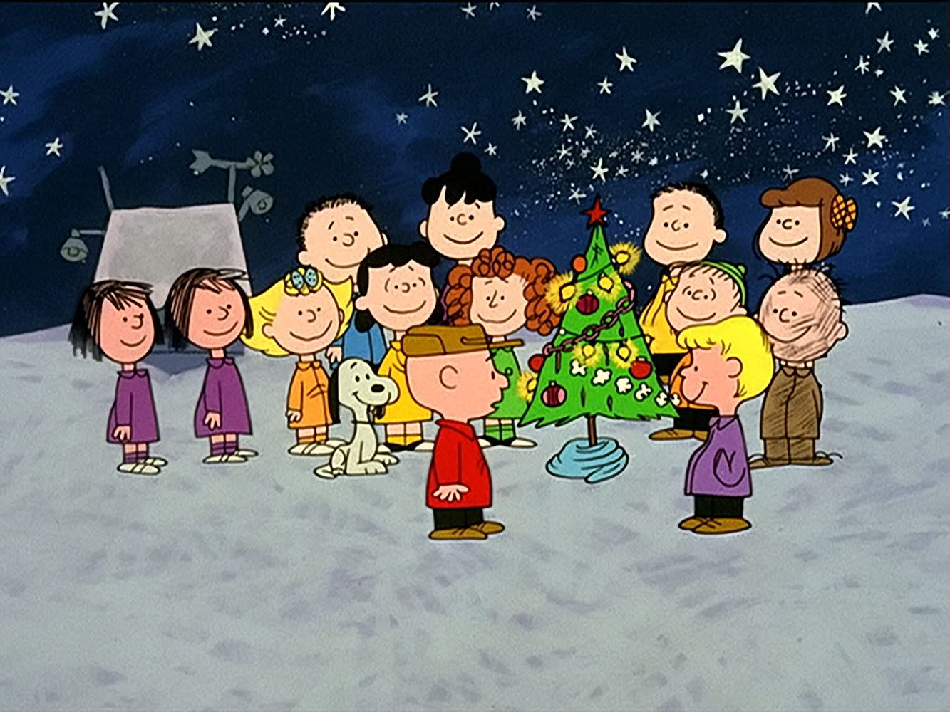 Peanuts: 1960's Collection [DVD Box Set] – Shopville