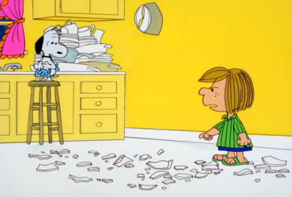 Peanuts: 1960's Collection [DVD Box Set] – Shopville