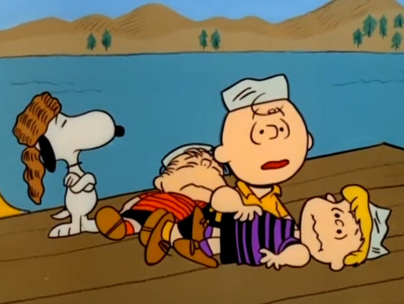 Peanuts: 1960's Collection [DVD Box Set] – Shopville