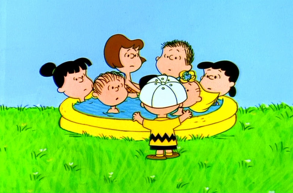 Peanuts: 1960's Collection [DVD Box Set] – Shopville