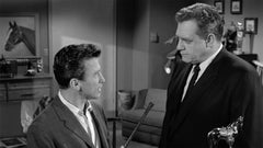 Perry Mason: The Complete Series - Seasons 1-9 [DVD Box Set] DVDs & Blu-Rays CBS   