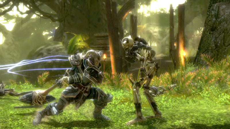 Kingdoms of Amalur: Reckoning [PlayStation 3] PlayStation 3 Video Game Electronic Arts   