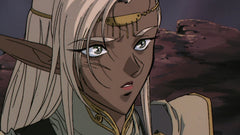 Record of Lodoss War: The Complete OVA Series [Blu-Ray + DVD Box Set] DVDs & Blu-Rays Funimation   