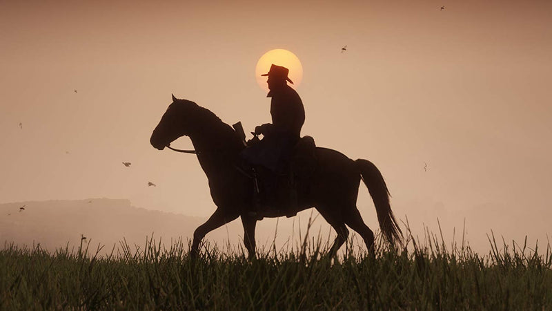 Red Dead Redemption 2 [PlayStation 4] PlayStation 4 Video Game Rockstar Games   