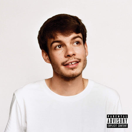 Rex Orange County - Pony [Audio Vinyl] Audio CD/Vinyl Sony Music   