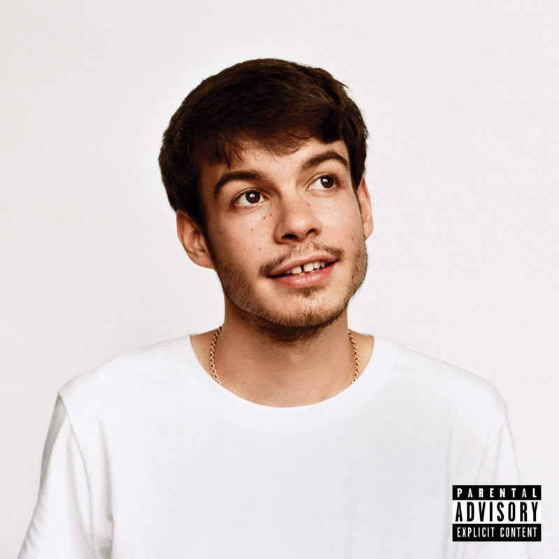 Rex Orange County - Pony [Audio Vinyl] Audio CD/Vinyl Sony Music   