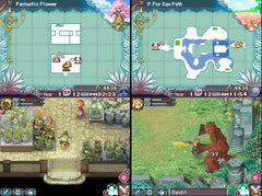 Rune Factory 3: A Fantasy Harvest Moon [Nintendo DS DSi] Nintendo DS DSi Video Game Natsume   