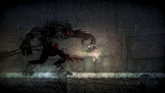 Salt and Sanctuary - Drowned Tome Edition [Nintendo Switch] Nintendo Switch Video Game SEGA   