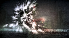 Salt and Sanctuary - Drowned Tome Edition [Nintendo Switch] Nintendo Switch Video Game SEGA   