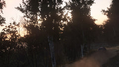 Sebastien Loeb Rally Evo [Xbox One] Xbox One Video Game Square Enix   