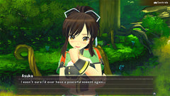 Senran Kagura Reflexions [Nintendo Switch] Nintendo Switch Video Game Limited Run Games   