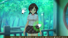 Senran Kagura Reflexions [Nintendo Switch] Nintendo Switch Video Game Limited Run Games   