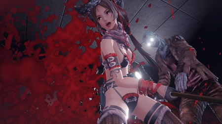 SG/ZH: School Girl Zombie Hunter [PlayStation 4] PlayStation 4 Video Game Aksys Games   