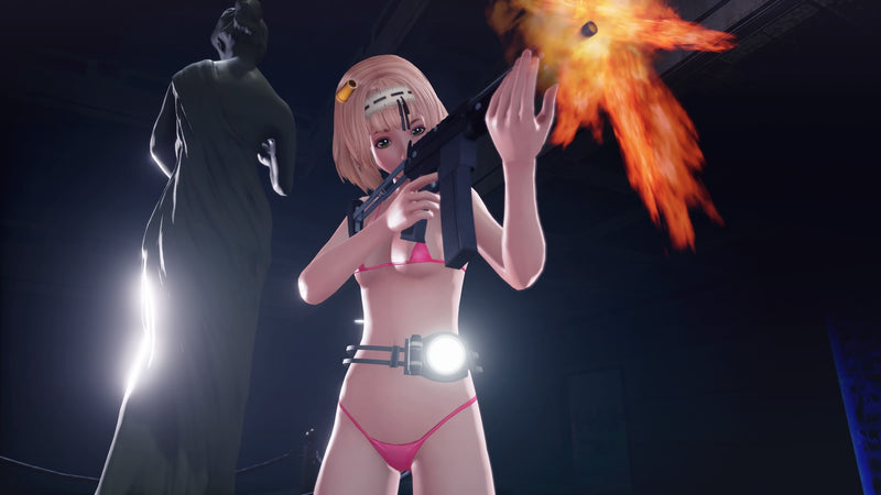 SG/ZH: School Girl Zombie Hunter [PlayStation 4] PlayStation 4 Video Game Aksys Games   