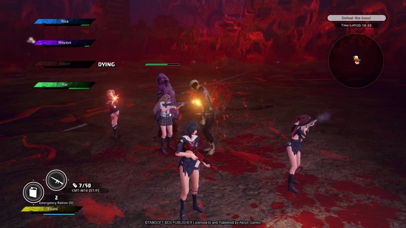 SG/ZH: School Girl Zombie Hunter [PlayStation 4] PlayStation 4 Video Game Aksys Games   