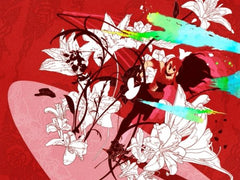 Steal Princess [Nintendo DS DSi] Nintendo DS DSi Video Game Atlus   