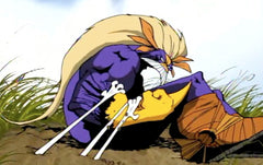 The Maxx: The Complete Series [DVD Box Set] DVDs & Blu-Rays CreateSpace   