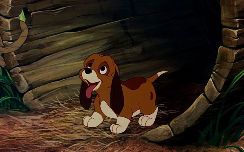 Disney's The Fox and the Hound + The Fox and the Hound 2 - 30th Anniversary Edition [Blu-Ray + DVD 2-Movie Collection] DVDs & Blu-Rays Disney   