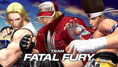 The King of Fighters XIV [PlayStation 4] PlayStation 4 Video Game Atlus   
