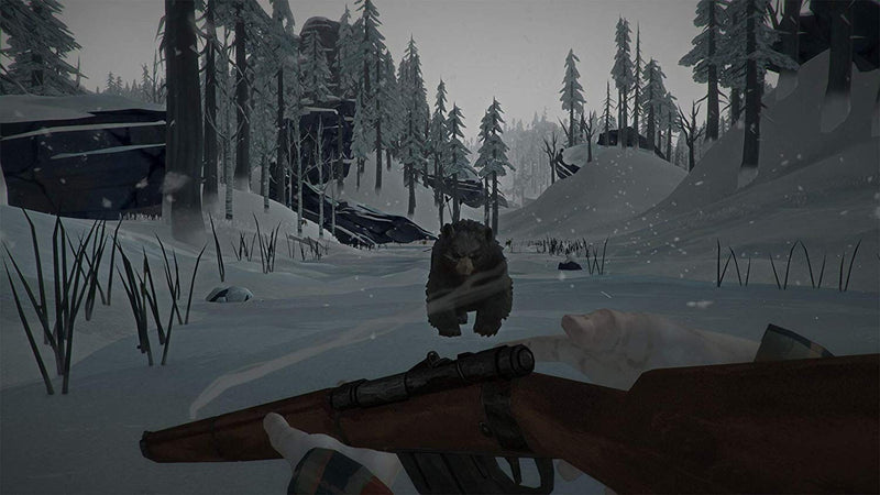 The Long Dark [PlayStation 4] PlayStation 4 Video Game Skybound