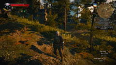 The Witcher 3: Wild Hunt - Game of the Year Edition [PC] PC Video Game Bandai Namco   