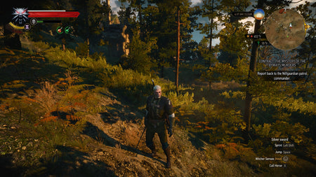 The Witcher 3: Wild Hunt - Game of the Year Edition [PC] PC Video Game Bandai Namco   