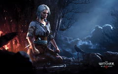 The Witcher 3: Wild Hunt - Game of the Year Edition [PlayStation 4] PlayStation 4 Video Game Bandai Namco   