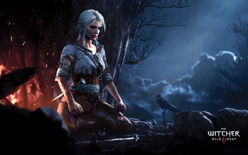 The Witcher 3: Wild Hunt - Game of the Year Edition [PlayStation 4] PlayStation 4 Video Game Bandai Namco   
