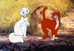 Disney's The Aristocats: Special Edition [DVD] DVDs & Blu-Rays Disney   