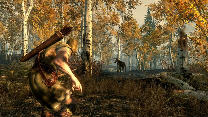 The Elder Scrolls V: Skyrim [Xbox 360] Xbox 360 Video Game Bethesda   