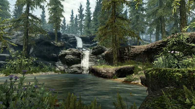 The Elder Scrolls V: Skyrim [Xbox 360] Xbox 360 Video Game Bethesda   