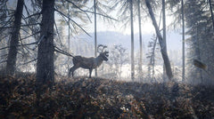 theHunter: Call of the Wild - 2019 Edition [Xbox One] Xbox One Video Game Nordic Games   