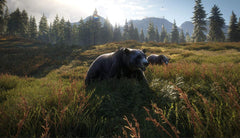 theHunter: Call of the Wild - 2019 Edition [Xbox One] Xbox One Video Game Nordic Games   
