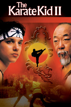 The Karate Kid: 5-Movie Collection [DVD Box Set] DVDs & Blu-Rays Sony Pictures   