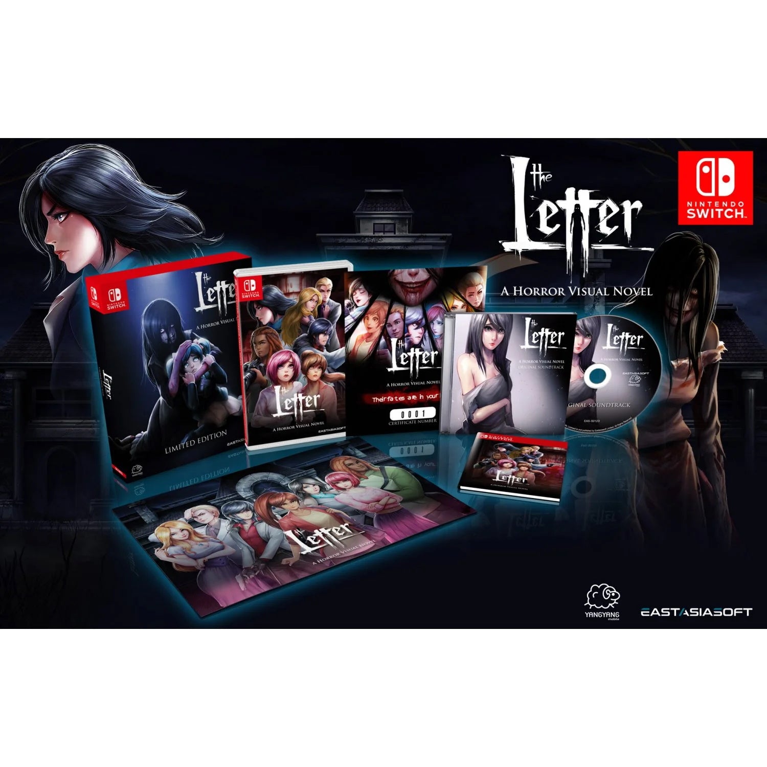 ニンテンドースイッチソフト　アジア版 The Letter： A Horror Visual Novel[Limited Edition](国内版本体動作可) N Switch]限定版 The Letter: A Horror Visual Novel Limited
