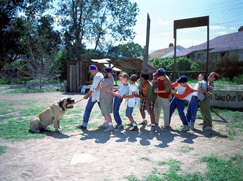 The Sandlot - 25th Anniversary Edition [Blu-ray + Digital] DVDs & Blu-Rays 20th Century Fox   