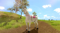 The Unicorn Princess [Nintendo Switch] Nintendo Switch Video Game BigBen   