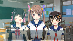 Tokyo School Life [Nintendo Switch] Nintendo Switch Video Game PQube   