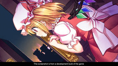 Touhou Kobuto V: Burst Battle - Limited Edition [PlayStation 4 - VR Mode Included] PlayStation 4 Video Game NIS America   