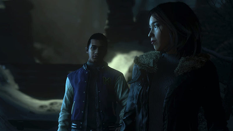 Until Dawn [PlayStation 4] PlayStation 4 Video Game Havok   