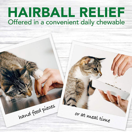 Vet's Best Hairball Relief Digestive Aid - 60 Chewable Tablets [Pet Care] House & Home Vet's Best   