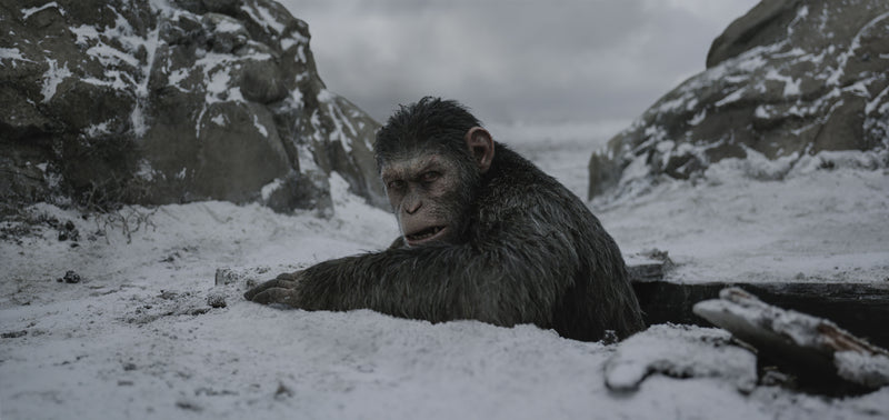 War for the Planet of the Apes [Blu-Ray + DVD + Digital] DVDs & Blu-Rays 20th Century Fox   