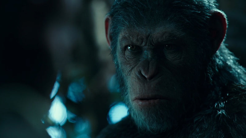 War for the Planet of the Apes [Blu-Ray + DVD + Digital] DVDs & Blu-Rays 20th Century Fox   