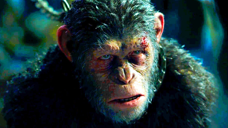 War for the Planet of the Apes [Blu-Ray + DVD + Digital] DVDs & Blu-Rays 20th Century Fox   